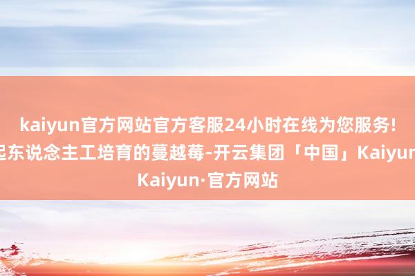 kaiyun官方网站官方客服24小时在线为您服务!因为比较起东说念主工培育的蔓越莓-开云集团「中国」Kaiyun·官方网站